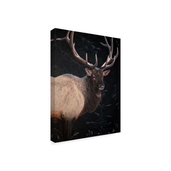 Ron Parker 'Wapiti Portrait' Canvas Art,24x32